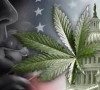 Rights Groups, Unions Call for Ending Marijuana Prohibition